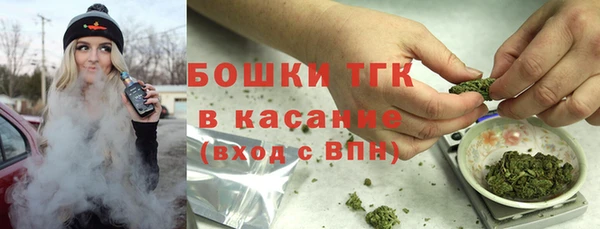стаф Аркадак