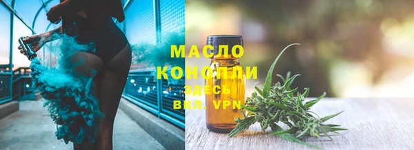хмурый Арсеньев