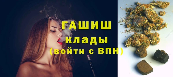 хмурый Арсеньев