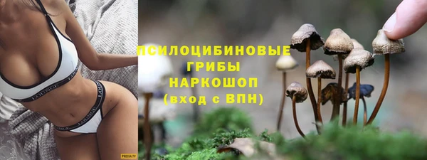 хмурый Арсеньев