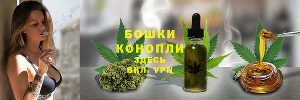хмурый Арсеньев