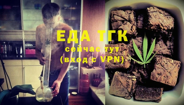 стаф Аркадак