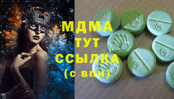 хмурый Арсеньев