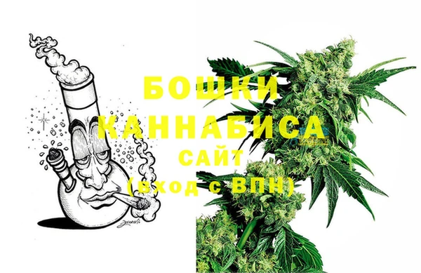 индика Балабаново