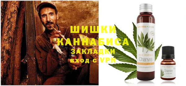 хмурый Арсеньев