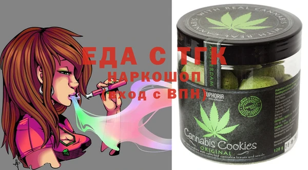 хмурый Арсеньев