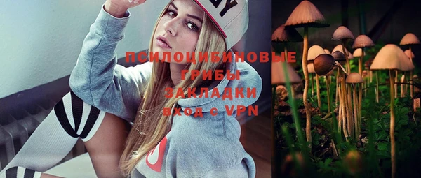МДПВ Армянск