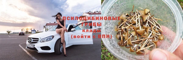 МДПВ Армянск