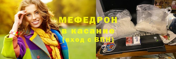 стаф Аркадак