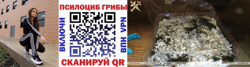 Галлюциногенные грибы ЛСД Купить Дивногорск